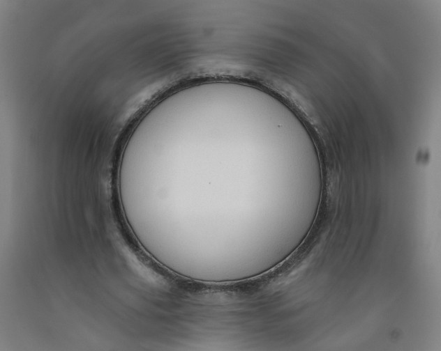 X0000091970629200709271407