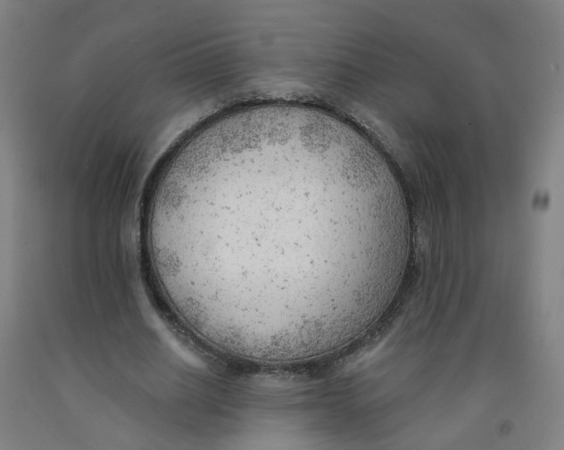 X0000091970630200709271407