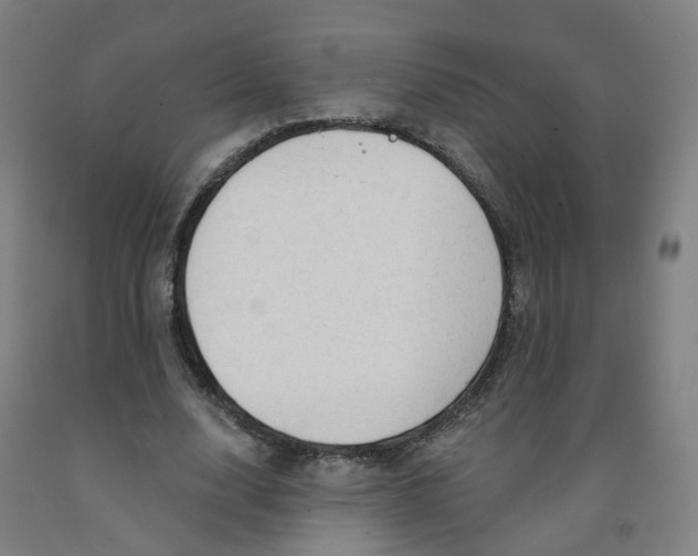 X0000091970632200709271407