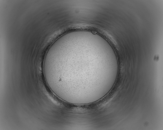X0000091970633200709271408