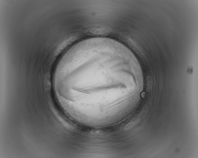 X0000091970634200709271408