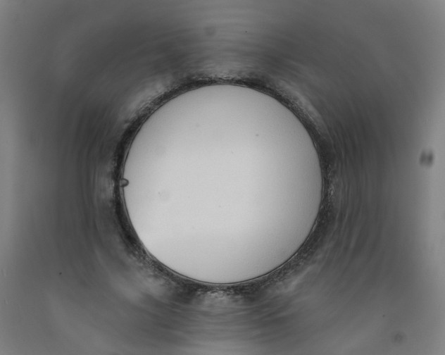X0000091970635200709271408