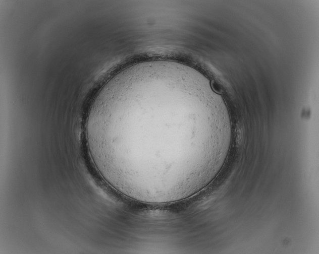 X0000091970637200709271408