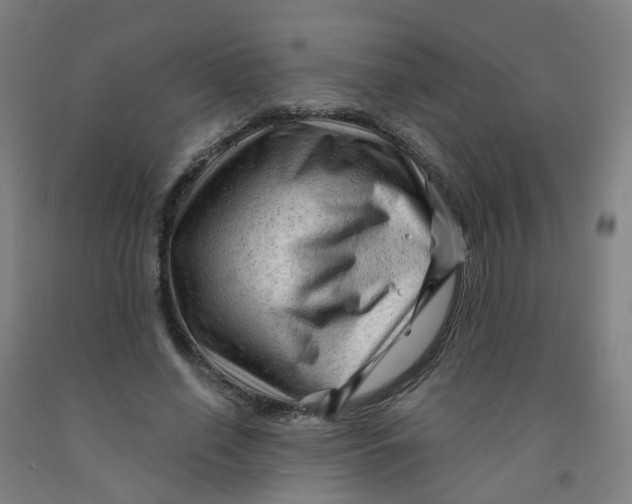 X0000091970638200709271408
