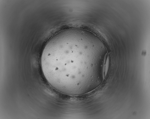 X0000091970641200709271408