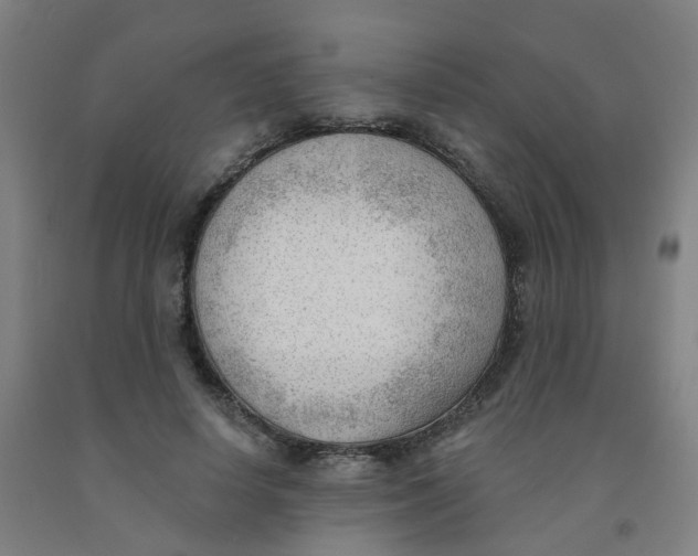 X0000091970642200709271408