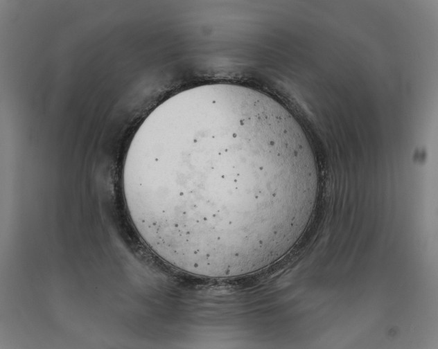 X0000091970643200709271408