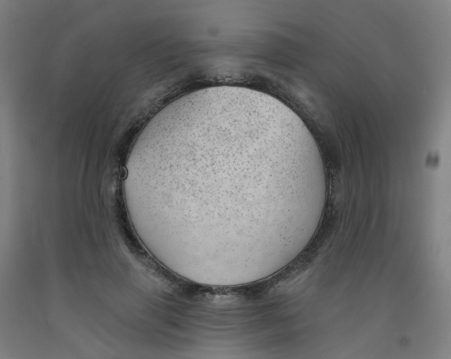 X0000091970645200709271408
