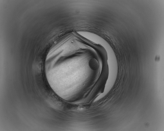 X0000091970647200709271408