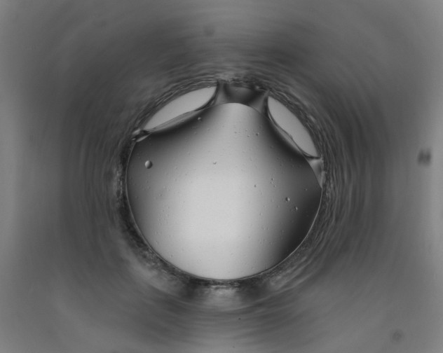 X0000091970651200709271408