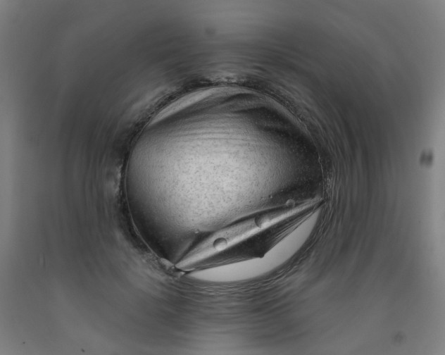 X0000091970652200709271408