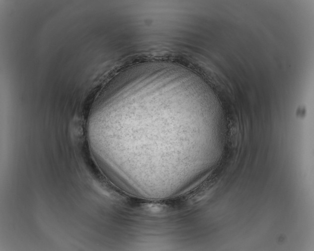 X0000091970654200709271408