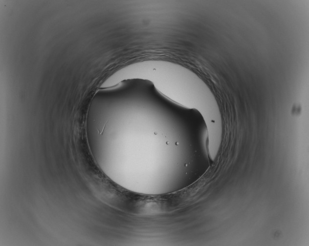 X0000091970655200709271408