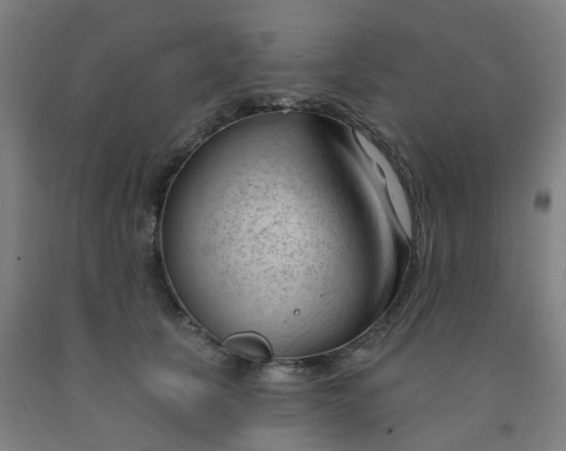 X0000091970657200709271408