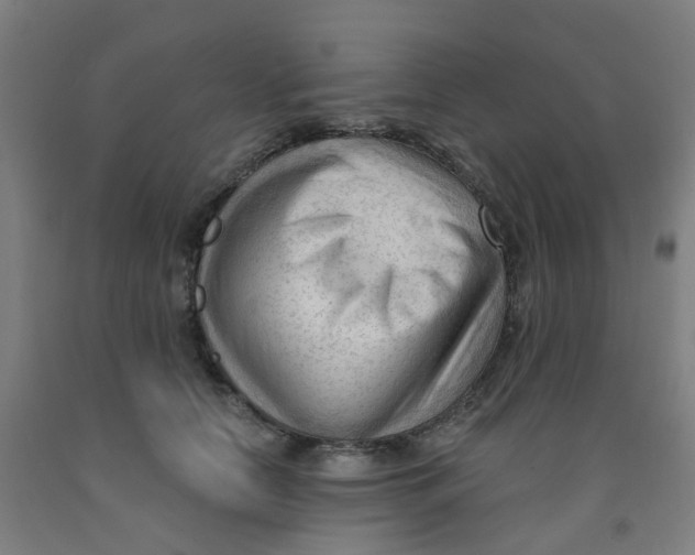 X0000091970658200709271408