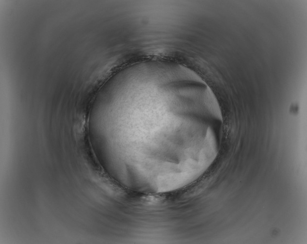 X0000091970660200709271408