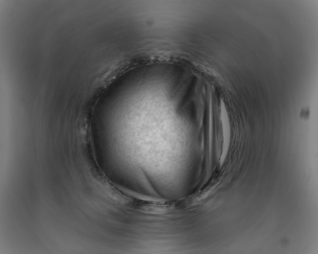X0000091970661200709271408
