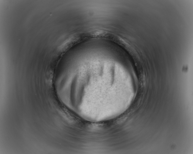 X0000091970664200709271408