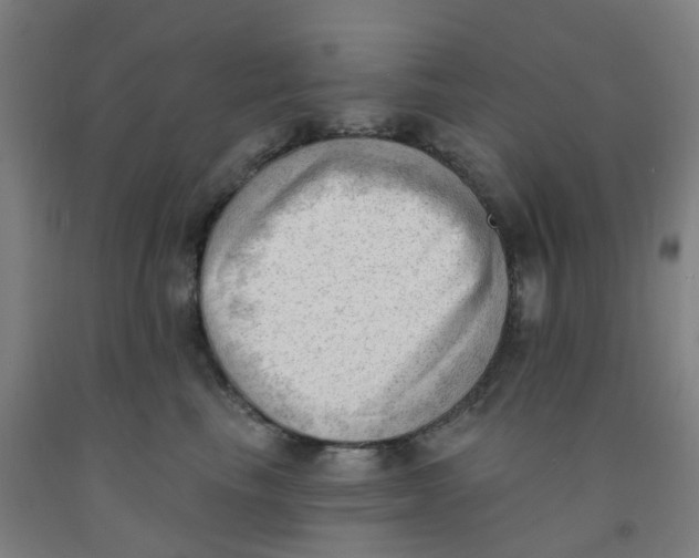 X0000091970665200709271408