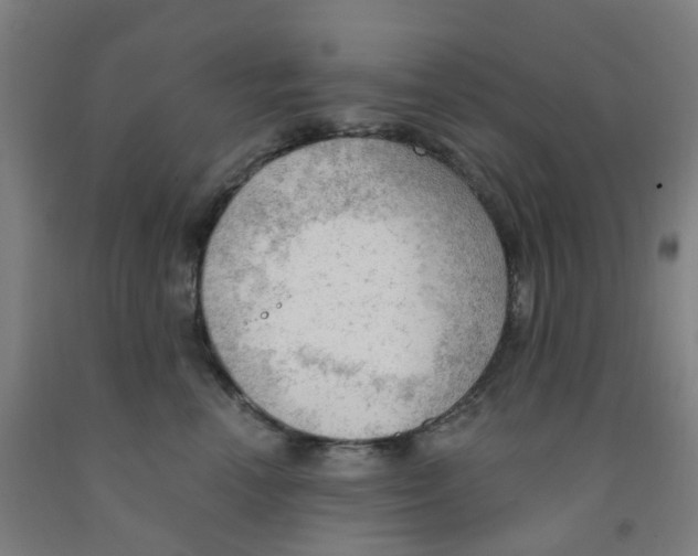 X0000091970666200709271408