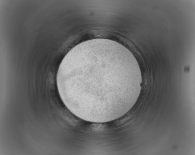 X0000091970667200709271408