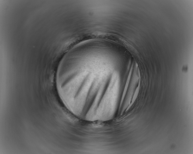 X0000091970668200709271408