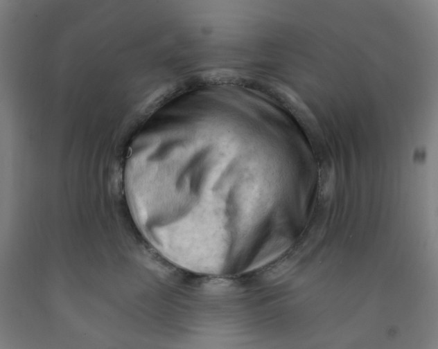X0000091970669200709271408