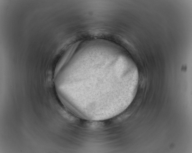 X0000091970670200709271408