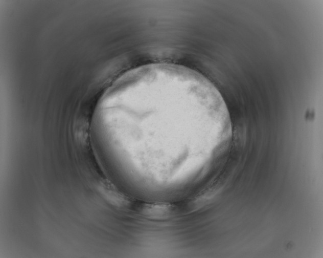 X0000091970671200709271408