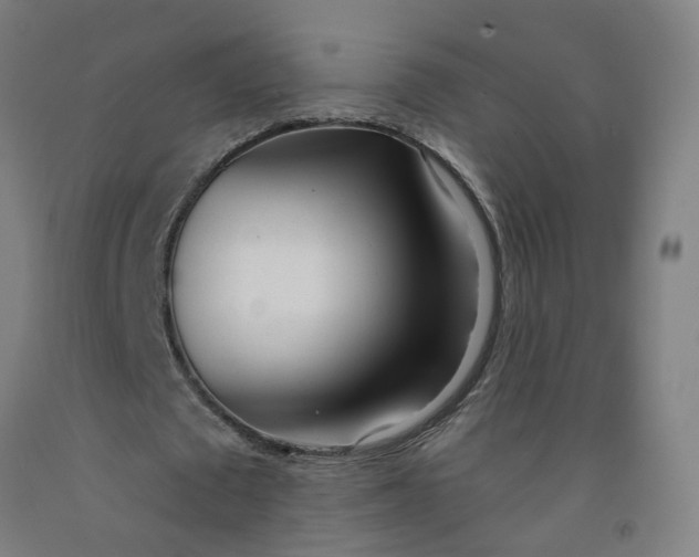 X0000091970673200709271407