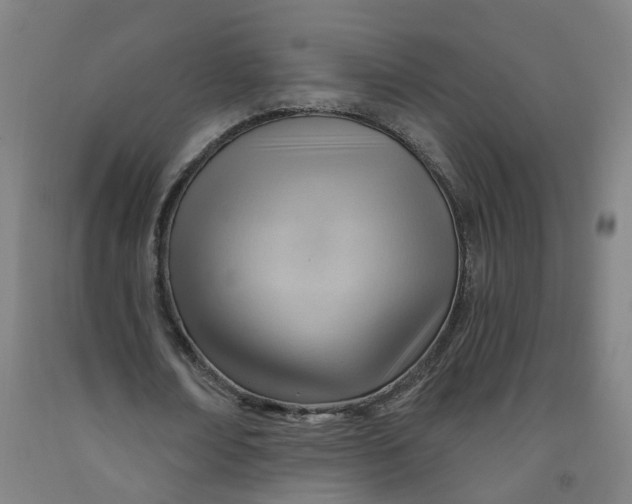 X0000091970674200709271407