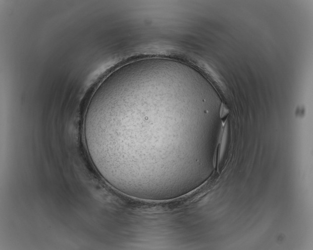X0000091970675200709271407