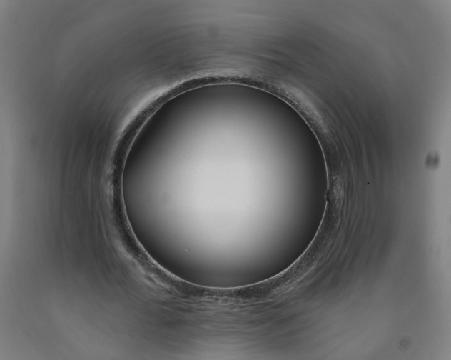 X0000091970676200709271407