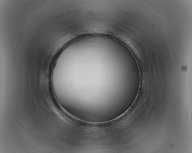 X0000091970677200709271407