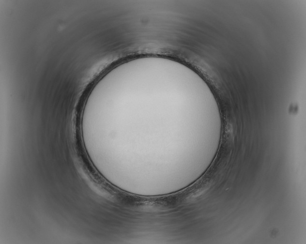 X0000091970678200709271407