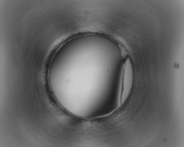 X0000091970680200709271407