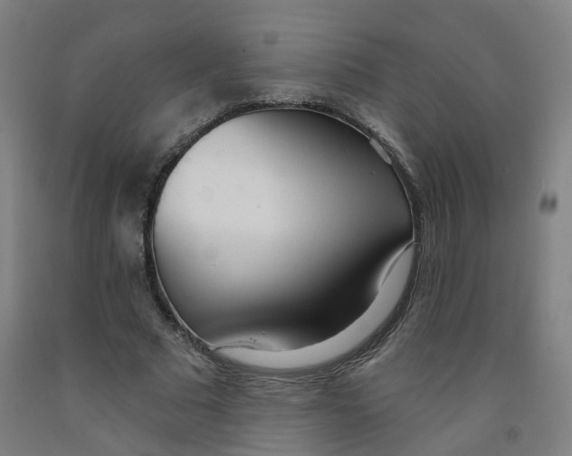 X0000091970681200709271407
