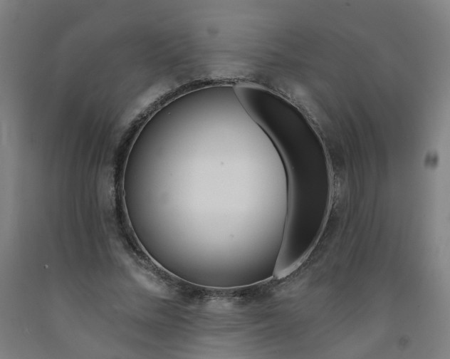 X0000091970684200709271407