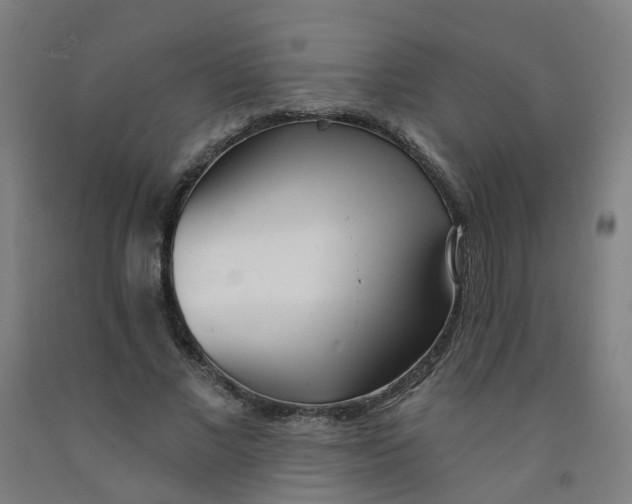 X0000091970685200709271407