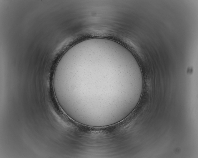 X0000091970686200709271407