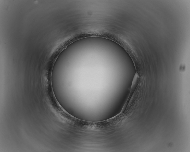 X0000091970688200709271407