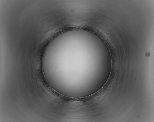X0000091970689200709271407