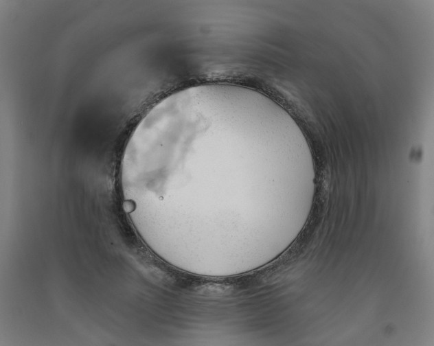 X0000091970691200709271407