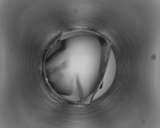 X0000091970692200709271407