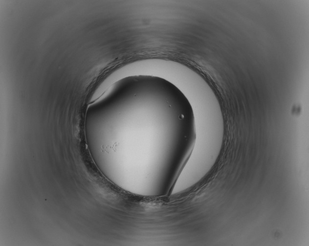 X0000091970693200709271407