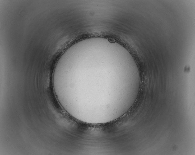 X0000091970694200709271407