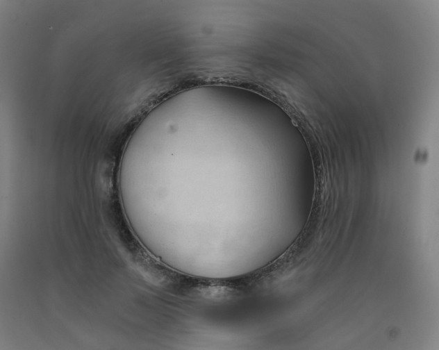 X0000091970695200709271407