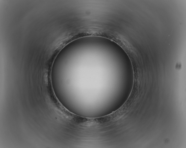 X0000091970696200709271407
