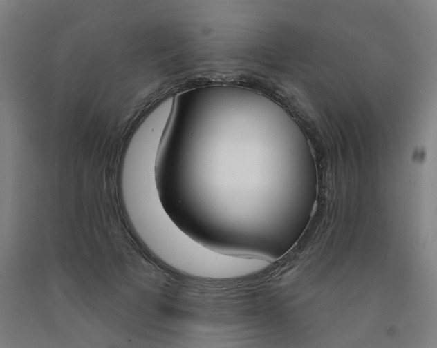 X0000091970697200709271407
