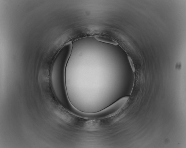 X0000091970700200709271407